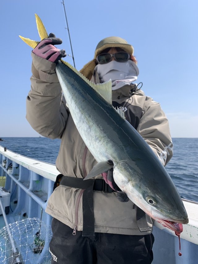 サンパク(ブリ)