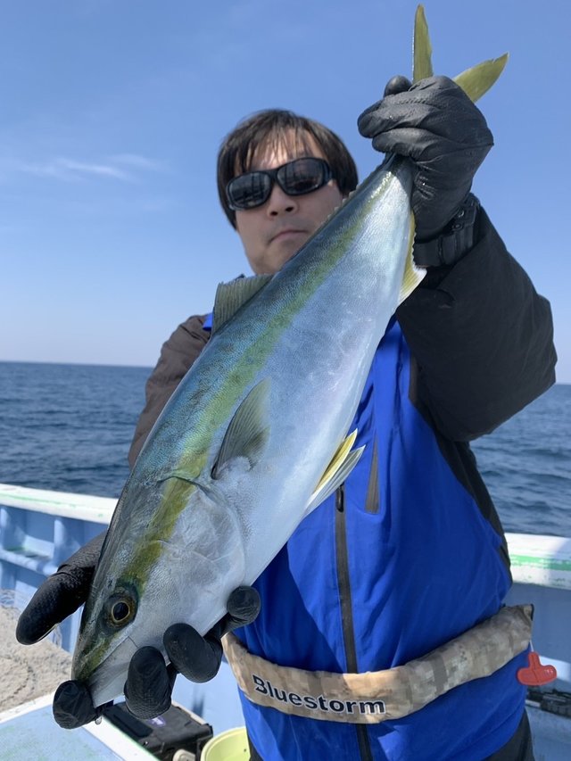 サンパク(ブリ)