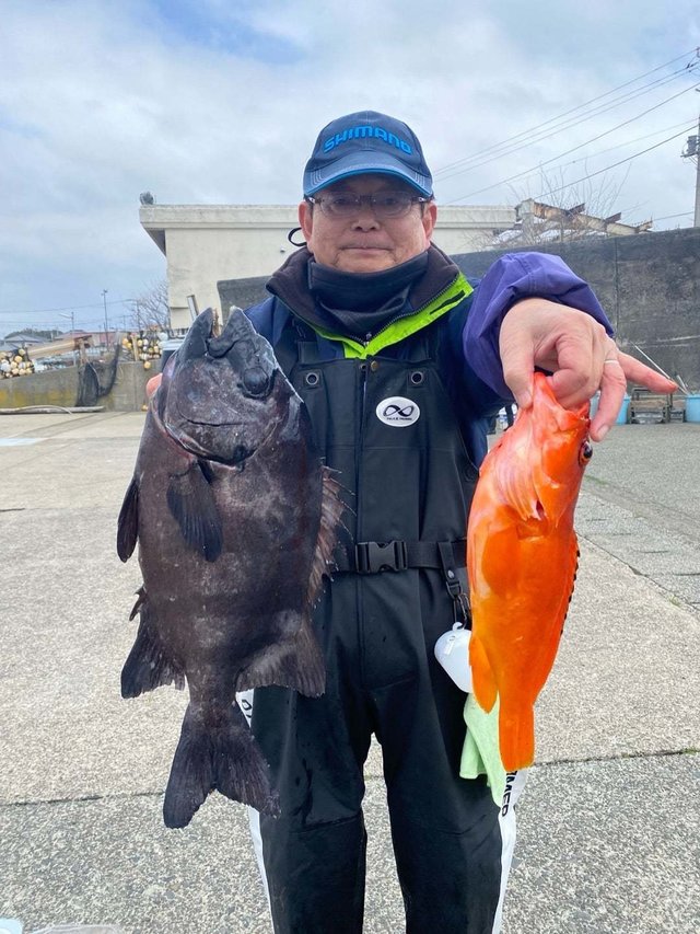 イシダイ・アカハタ