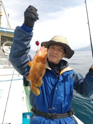 アコウ(キジハタ)