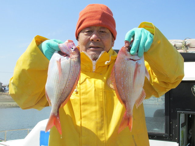 ハナダイ(チダイ)