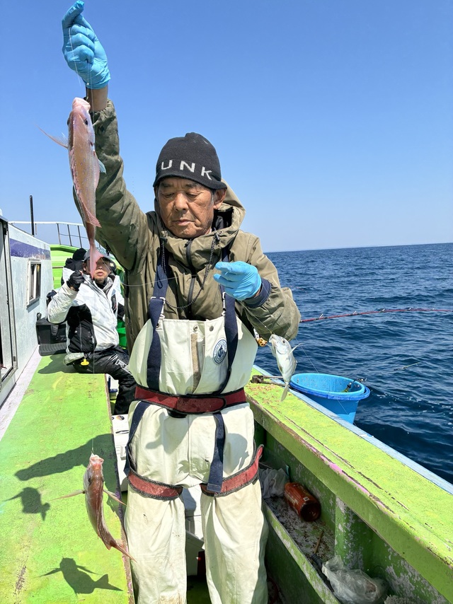 ハナダイ(チダイ)