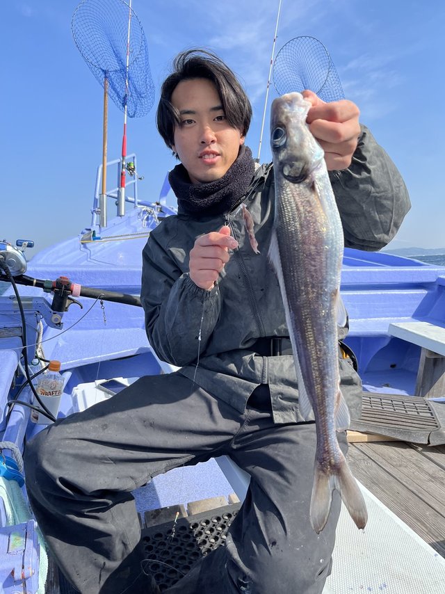 ドンコ(チゴダラ)