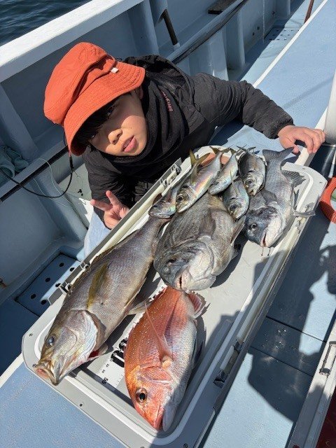 マダイ・クロダイ・アジ(マアジ)・イサキ・サバ(ゴマサバ)