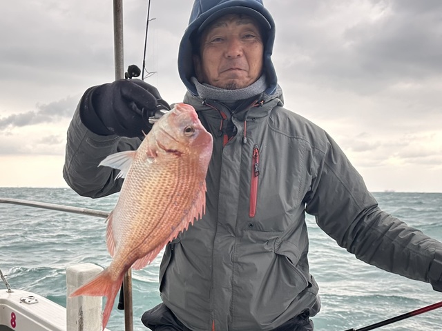 ハナダイ(チダイ)