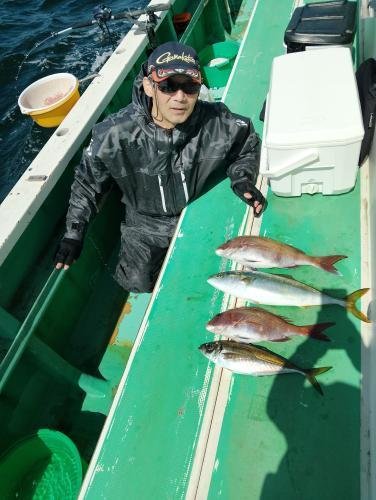 マダイ・アジ(マアジ)・イナダ(ブリ)