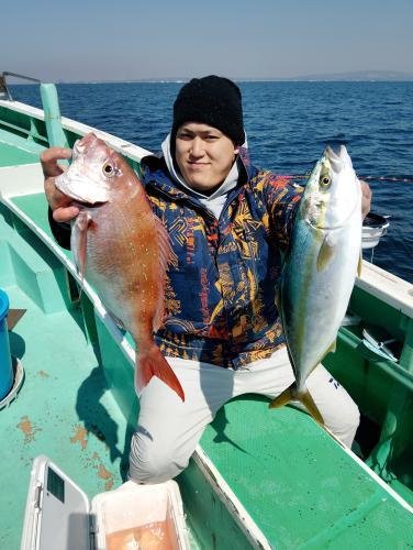 マダイ・イナダ(ブリ)