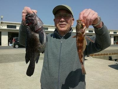 ソイ(クロソイ)・オキメバル(ウスメバル)