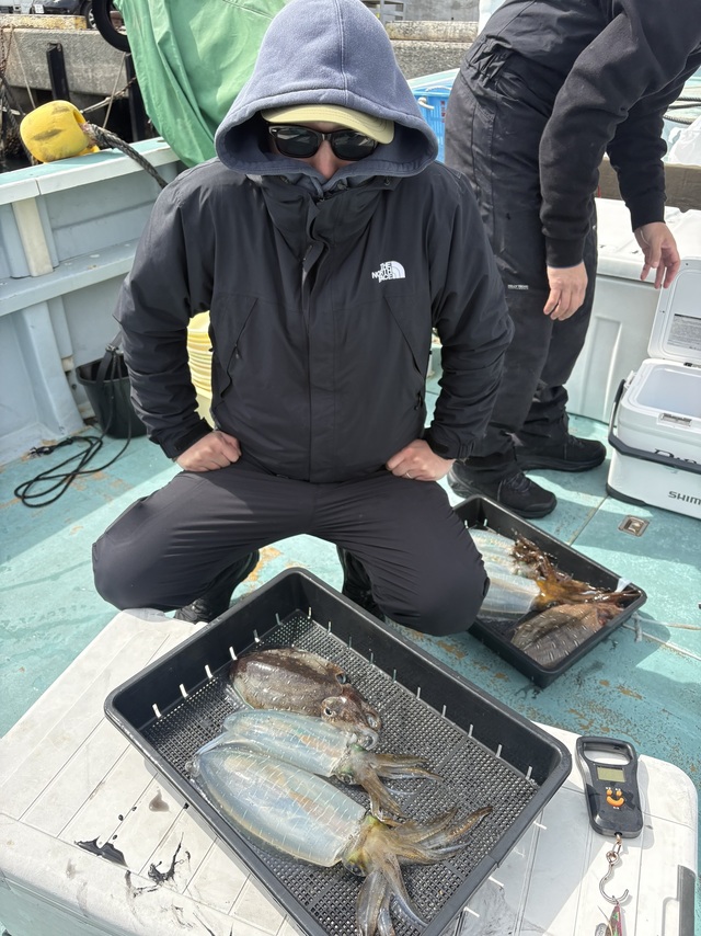 アオリイカ・モンゴウイカ(カミナリイカ)