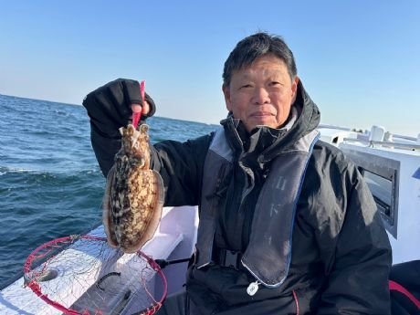 スミイカ(コウイカ)