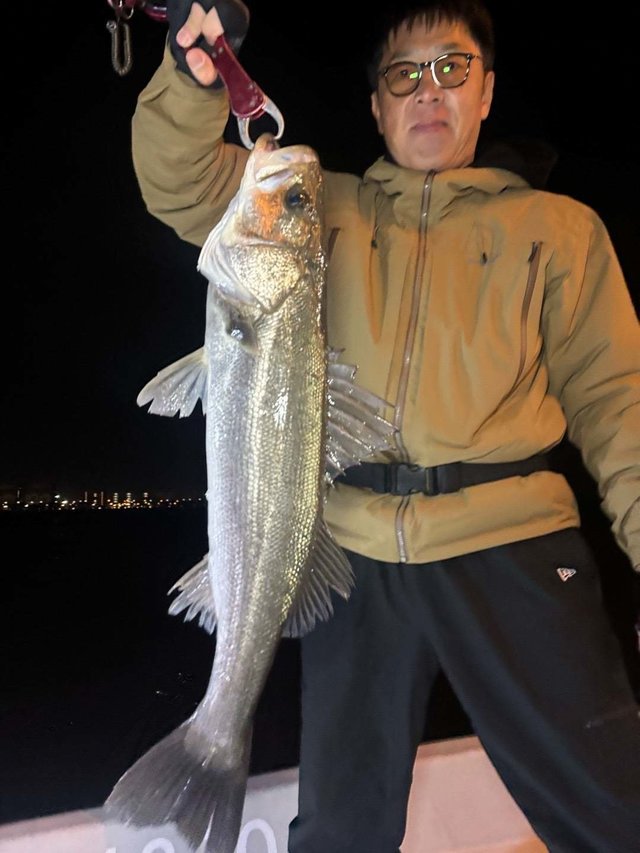 シーバス(スズキ)