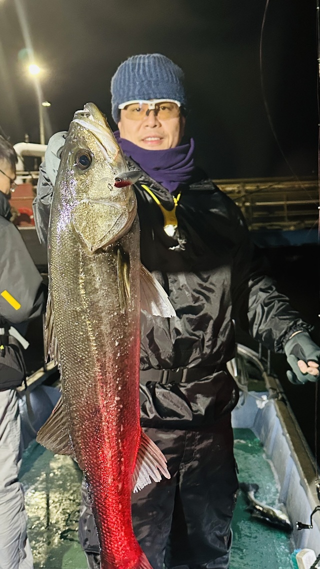 シーバス(スズキ)