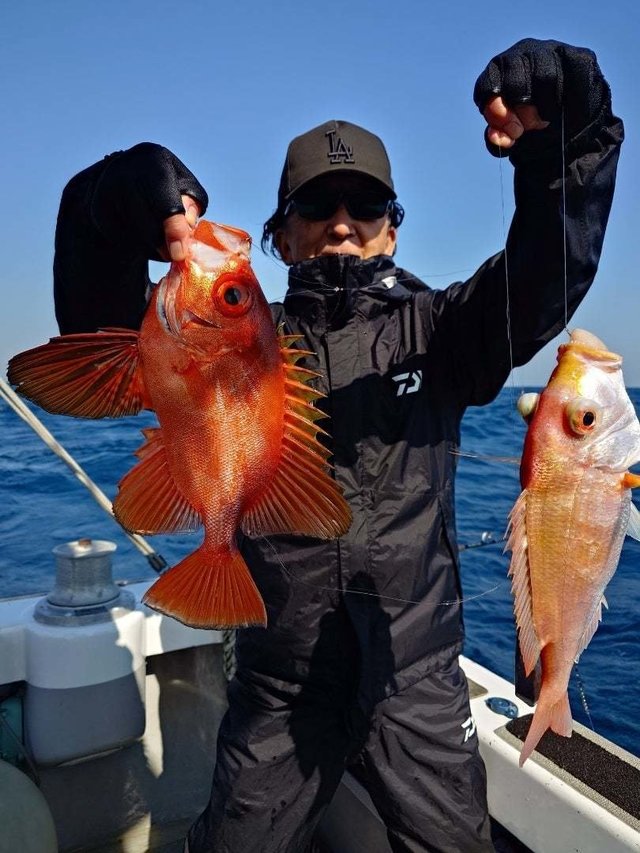 チカメ(チカメキントキ)