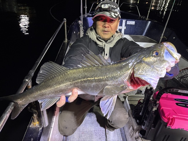 シーバス(スズキ)