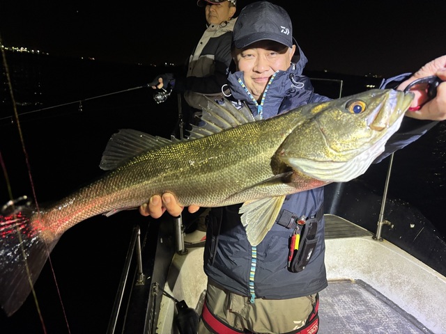 シーバス(スズキ)