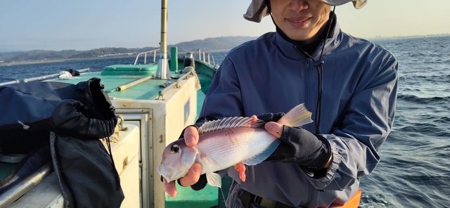 アマダイ(アカアマダイ)