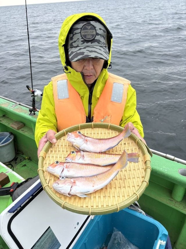 アマダイ(アカアマダイ)