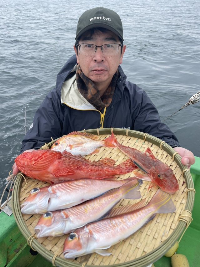 アマダイ(アカアマダイ)・オニカサゴ・ホウボウ