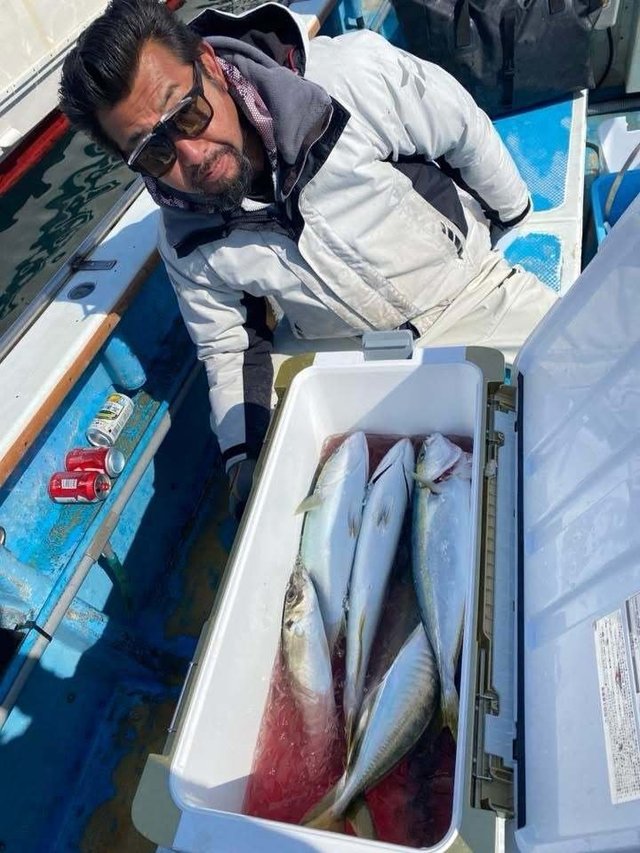 アジ(マアジ)・イナダ(ブリ)