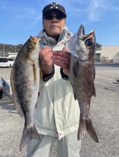 イサキ・クロムツ