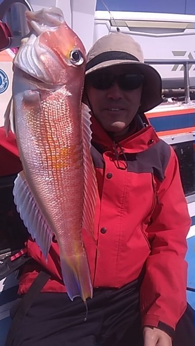 アマダイ(アカアマダイ)