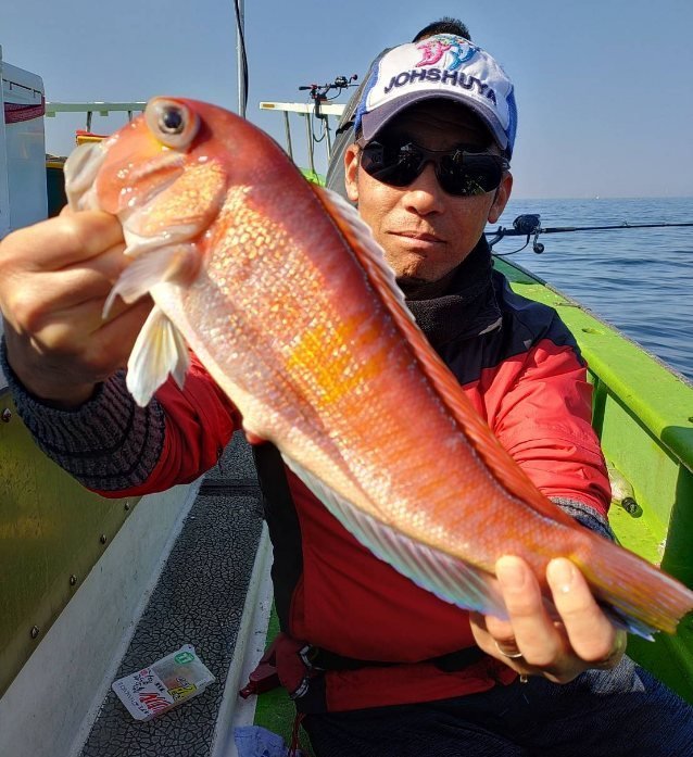 アマダイ(アカアマダイ)