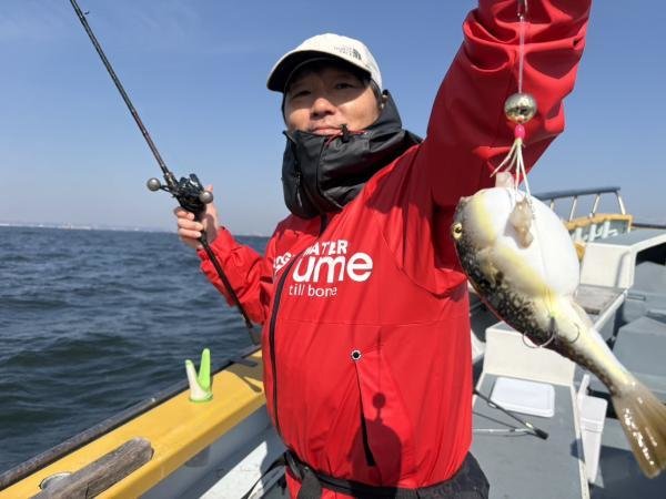 ショウサイフグ