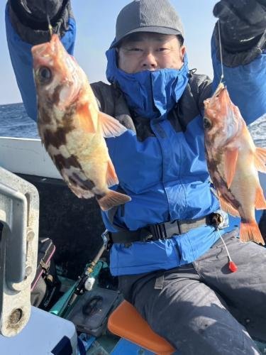 メバル(ウスメバル)