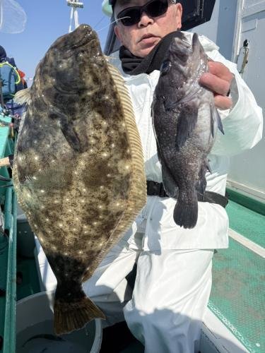 クロソイ・ヒラメ