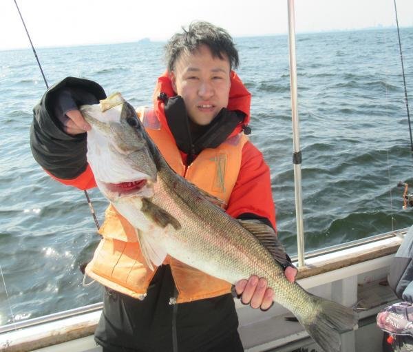 シーバス(スズキ)