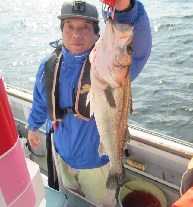 シーバス(スズキ)