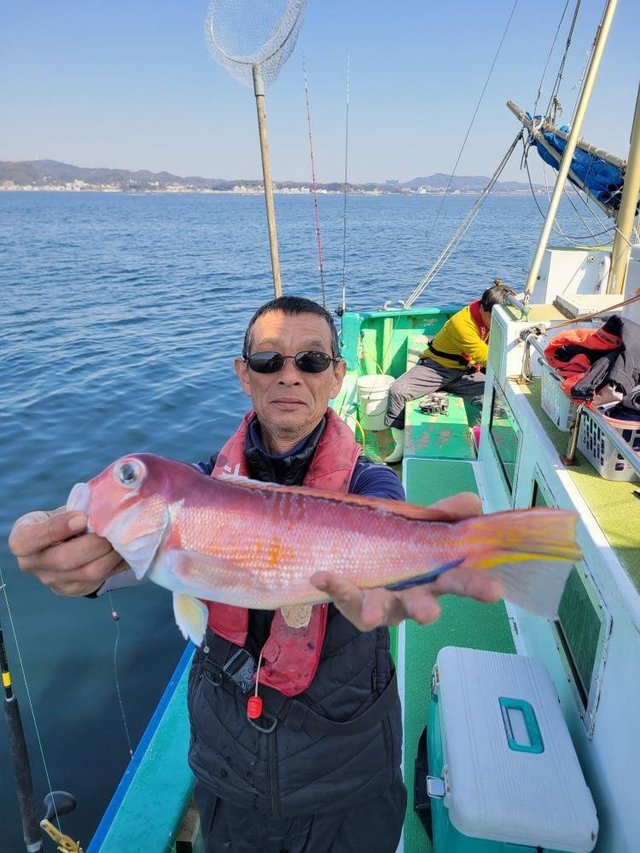 アマダイ(アカアマダイ)