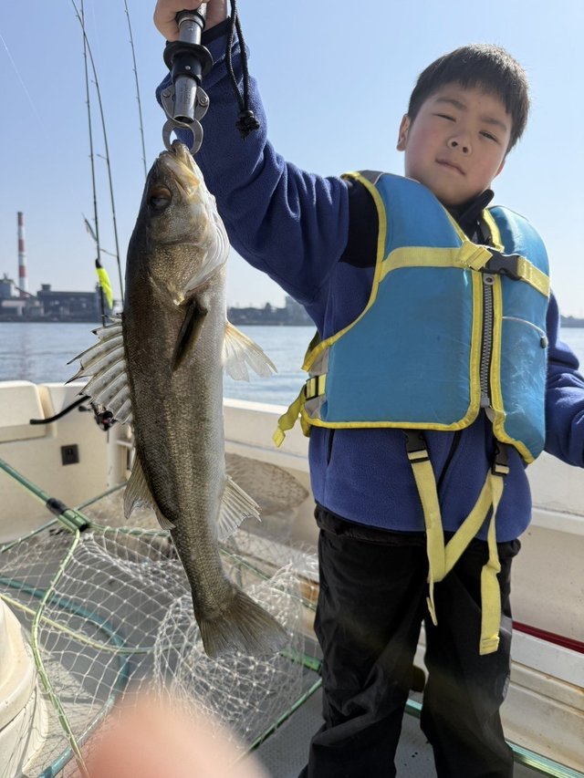 シーバス(スズキ)