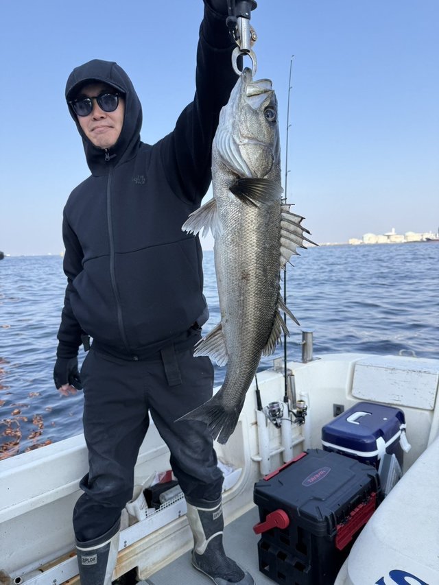 シーバス(スズキ)