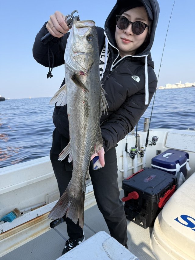 シーバス(スズキ)