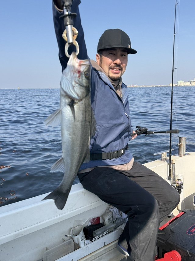 シーバス(スズキ)