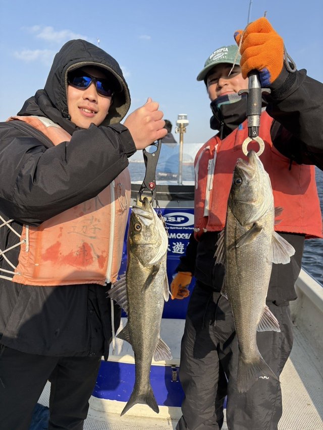 シーバス(スズキ)