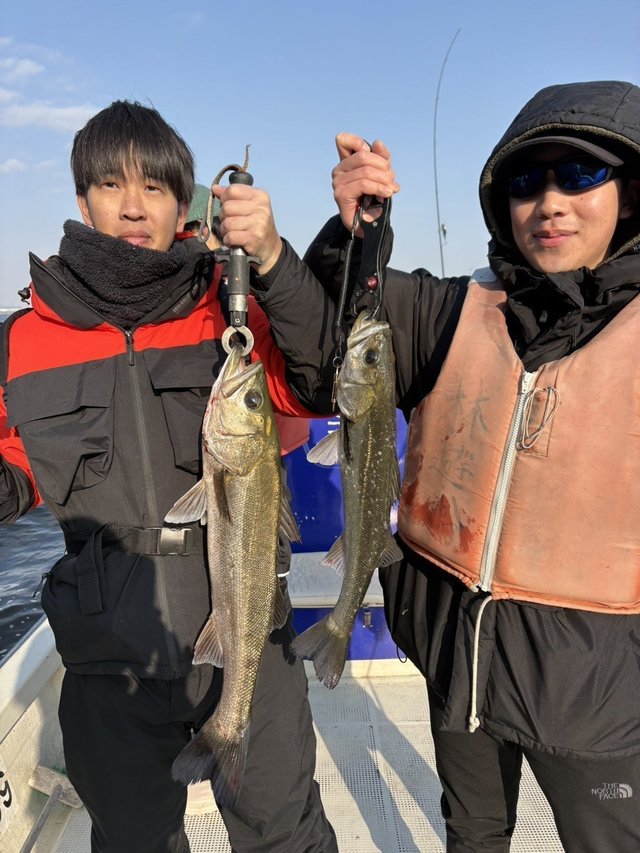 シーバス(スズキ)