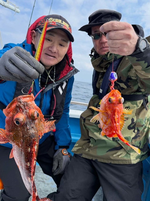 ウッカリカサゴ・アヤメカサゴ