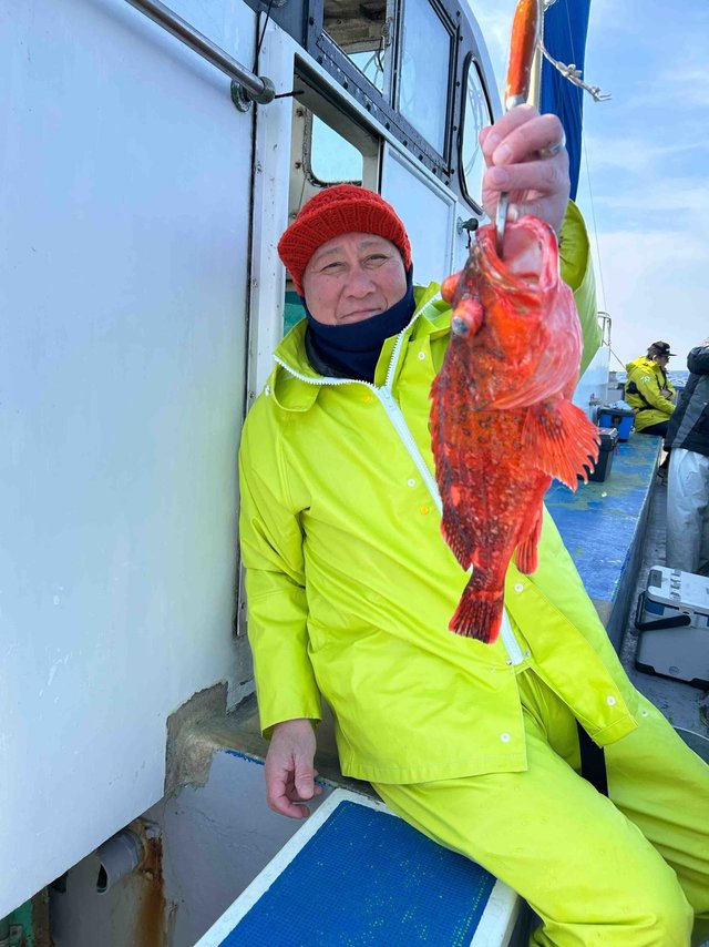 カンコ(ウッカリカサゴ)