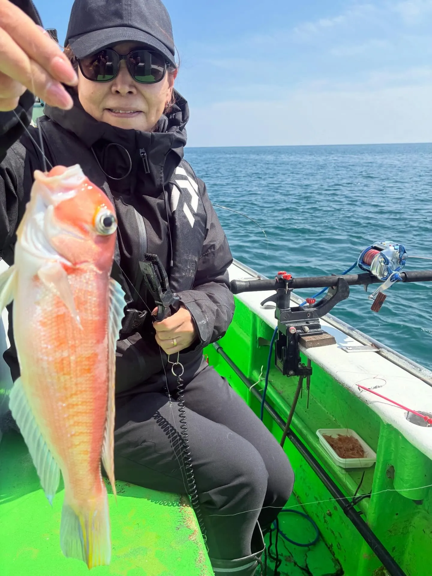 アマダイ(アカアマダイ)