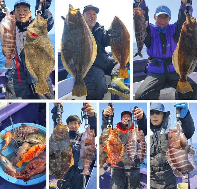 マハタ・ヒラメ