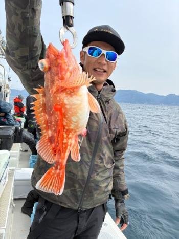 ウッカリカサゴ