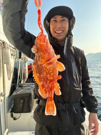 ウッカリカサゴ