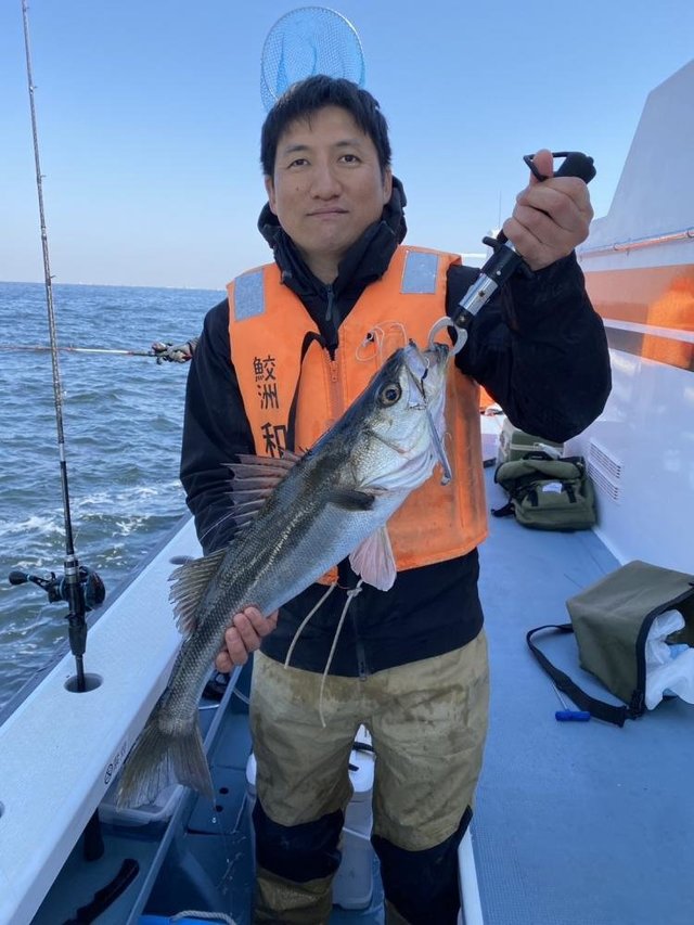 シーバス(スズキ)