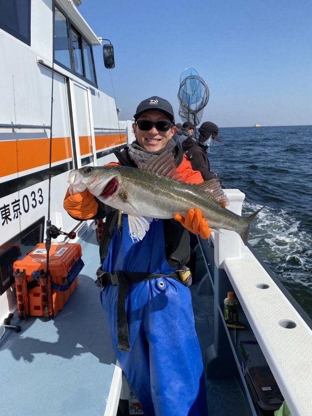 シーバス(スズキ)