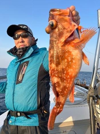 ウッカリカサゴ