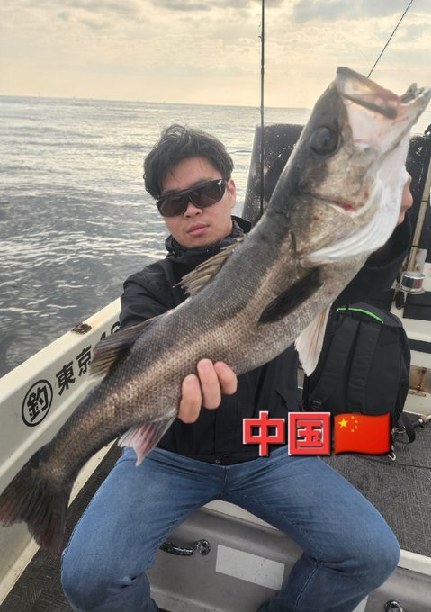 シーバス(スズキ)