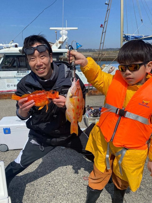 マダイ・アヤメカサゴ