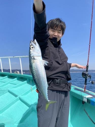 サバ(ゴマサバ)